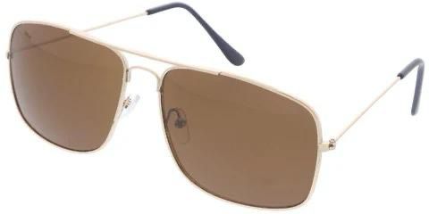 Giorgio Armani Shaded Aviator Sunglasses